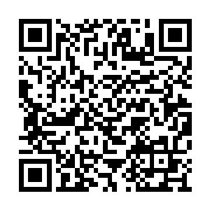小树苗也就是生命能量本源的传承记忆才被激活二维码生成