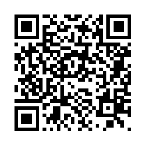 小梦是根据她自己接触经济做的推测二维码生成