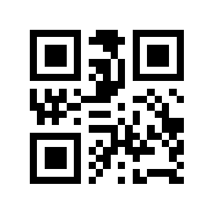 小比9二维码生成