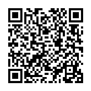 小水鬼王的修为也在这一刻飙升至圣域巅峰四重天极限二维码生成