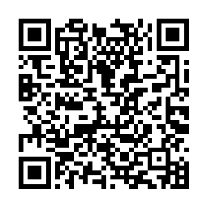 小海棠的主人早早就收拾了一处偏僻的别院给他们二维码生成