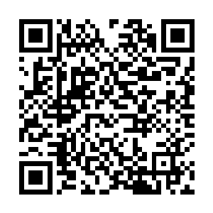 小灵似乎也察觉到剑尘身上被杰德家族圣王施展的秘术二维码生成