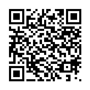 小熊要是也上前估计就要发生血案了二维码生成