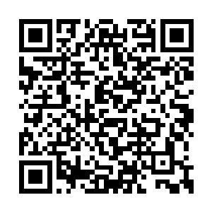 小爷花了一亿多是进来读书的不是进来被歧视的二维码生成