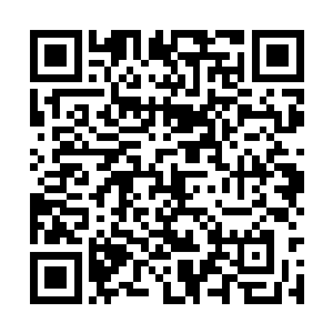 小狐狸像只温顺的小猫一样躺在方运和杨玉环之间二维码生成