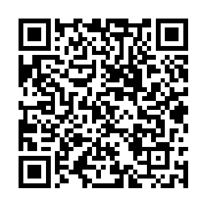 小狐狸在心里不由美美的想着凤小熊夸奖她的场面二维码生成