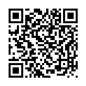 小狐狸大眼睛里湿漉漉的着实可怜二维码生成
