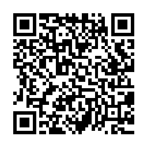 小狗张嘴把它这段时间收到的唯一一项骨器测试结果说了出来二维码生成