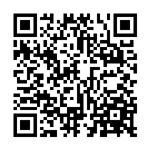 小狮子和小豹子的前途都要他们自己去努力和拼杀二维码生成