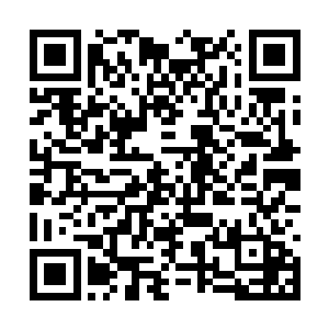 小狮子和虎头也纷纷丢下他们的早餐上前安慰父亲二维码生成