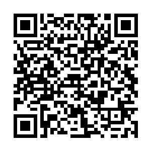 小猴子突然抬头对着上空又做了一个深呼吸的动作二维码生成