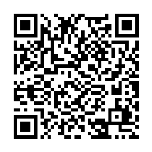 小猴子这厮自从上次喝了那些小瓶子中的灵液之后二维码生成