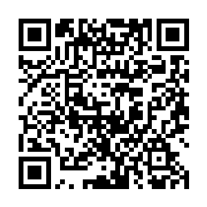 小玉灵巴眨着眼情扬着小脑袋神采奕奕的看着萧摇说道二维码生成