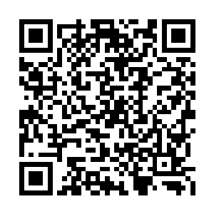 小环打心眼里还真不怕这个没有血缘关系的长辈二维码生成