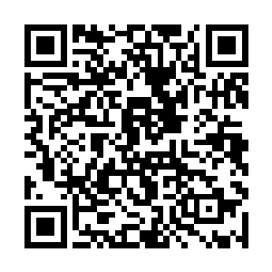 小男孩傻乎乎地被张均拉着又到了葛小仙等人的居所二维码生成