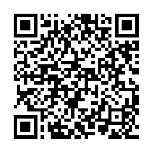 小男孩的体内竟然有一股恐怖的力量阻碍着龙傲天的神识二维码生成