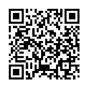 小男孩说着又看了看洪大力手里的金砖二维码生成