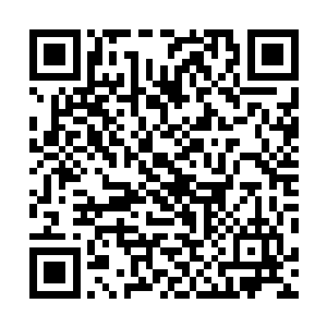 小白也在空中一个翻身化作一个少年站在了许紫烟的身边二维码生成