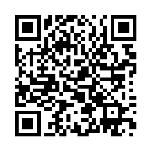 小白伸出粉嫩的爪子随意翻动了一下二维码生成