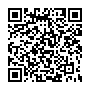 小白叔叔下来的时候就被那种压力给弄出了重伤二维码生成