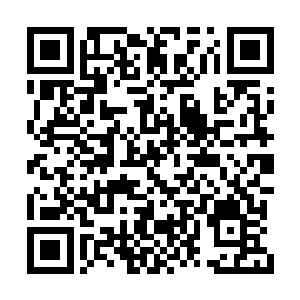 小白和赵轻落则是没有想到这个时候就有生意了二维码生成