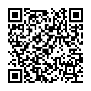 小白完全不知道自己应该如何形容这个时候的心情二维码生成