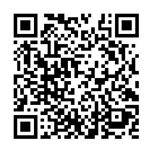 小白按照以前他设定好的一一打开了一处处金属柱二维码生成