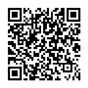 小白既然已经开始融合老鲲鹏界・那么她就隐藏不了自己了二维码生成