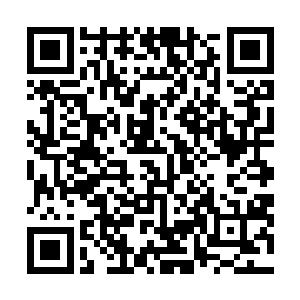 小白的窝不知什么时候多出一个长相俊美如天神般的男子二维码生成