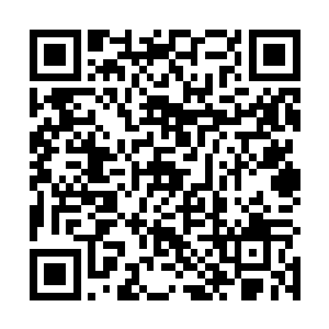 小白的血脉浓度对于鲲鹏一族的雄性有着极大的吸引力二维码生成