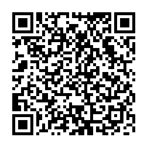 小白闻听便一只手攥着一角一只手伸出一根手指放在嘴里咬着№紫烟二维码生成