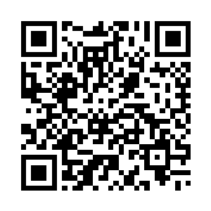 小白龟趴在一只小小的透明容器中二维码生成