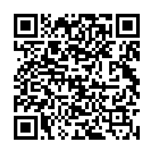 小的藏在一棵茂密的大树上撒出了七千余块玉花石二维码生成