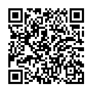 小眼睛男正准备酝酿出一个自己觉得有威慑力的表情二维码生成