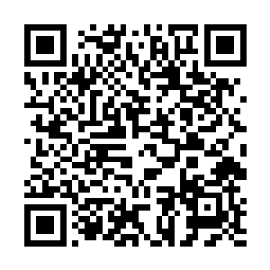 小眼睛贪婪而又渴望地盯着半空当中的一个椭圆形物体二维码生成