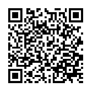 小神医徐宝镜独自提着一篮炒花生走在只有月光的乡道上二维码生成