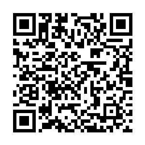 小神龙也呆呆的看着挺尸一样躺地上不动的汹鱼……二维码生成