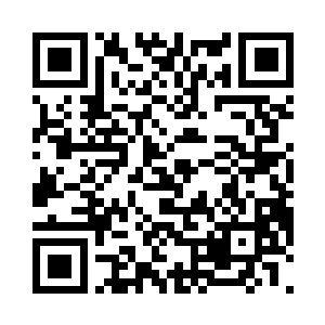 小神龙冲苏落萌萌地嗷呜嗷呜叫了几声二维码生成