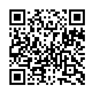 小神龙和小黑猫也恢复了巅峰状态二维码生成