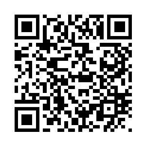 小神龙已经收集了非常多的中极炸弹二维码生成