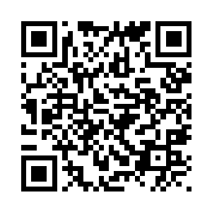 小神龙的血统确实不比小凤凰的差二维码生成