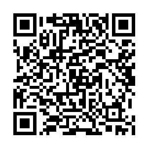 小秋进房间之后好像都没注意到电脑已经打开了二维码生成