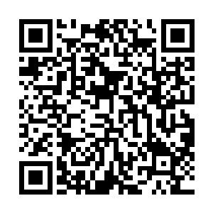 小紫跟着林扬没少吃了对魔兽大有助益的丹药与天材地宝二维码生成