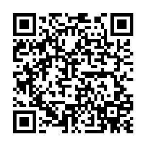 小红帽的故事是告诫小女孩不要随便和陌生人聊天二维码生成