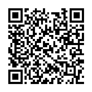 小组长郑伟和几个警察和自己一起看收缴来的录像二维码生成