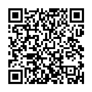 小罗天的长老尚笑正亲自陪同着许顶阳在城墙的兵道上行走着二维码生成