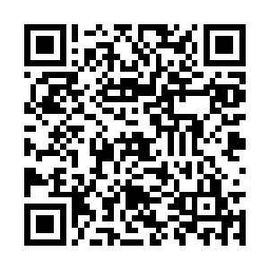 小美的这招空间切割比起刚才的空间斩要强上不少二维码生成