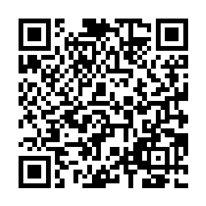 小胖张口结舌--咱们堂堂特能队第17小队虽然多数是尸兄二维码生成