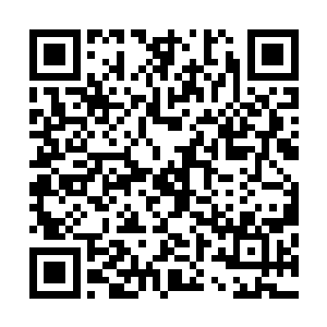 小胖把这两条金枪鱼在水中一路拖行着来到了欢喜哥的身边二维码生成