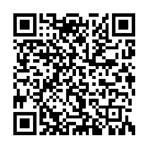 小胖正无精打采的趴在地下室自己的那张小床上二维码生成